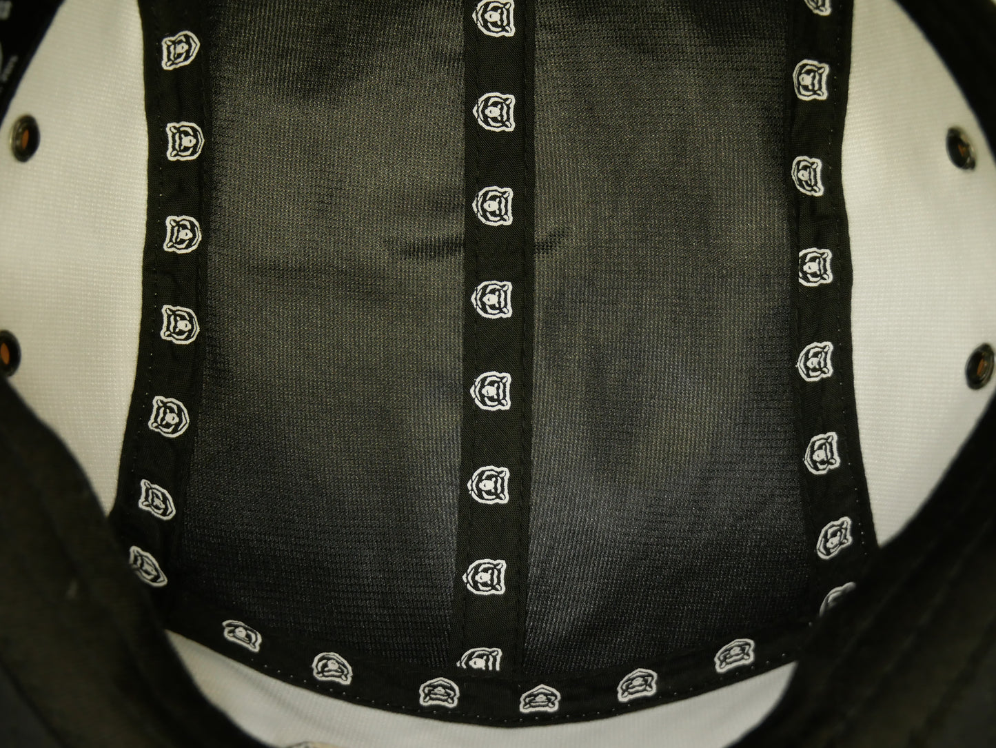 The Bear Club Athletic Hat